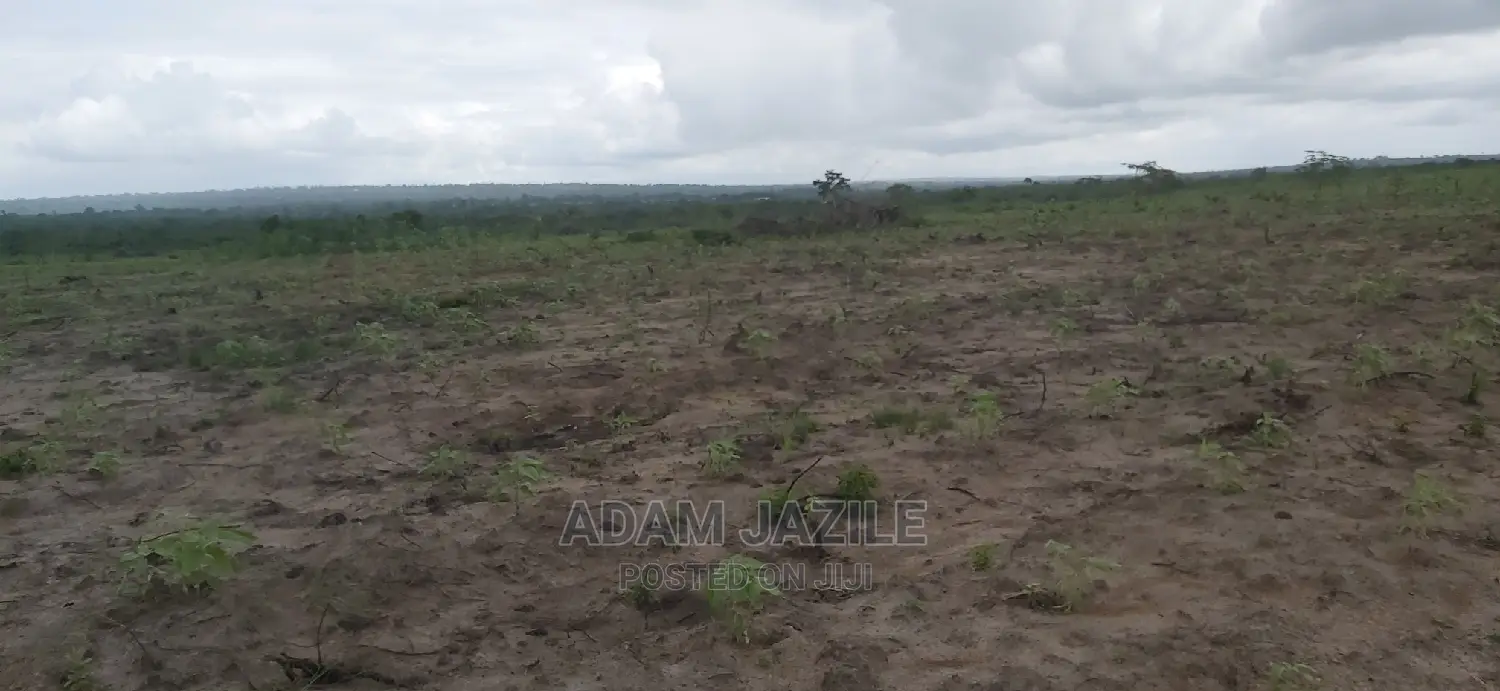 Shamba La Ekari 5 Linauzwa Kiwangwa Bagamoyo