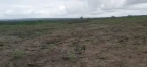 Shamba La Ekari 5 Linauzwa Kiwangwa Bagamoyo