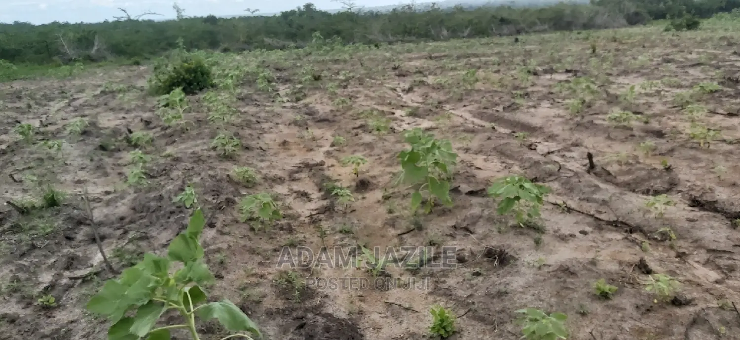 Shamba La Ekari 5 Linauzwa Kiwangwa Bagamoyo