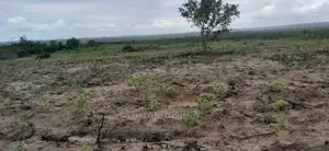 Shamba La Ekari 5 Linauzwa Kiwangwa Bagamoyo