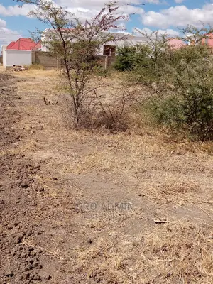 Kiwanja Ilazo Extension