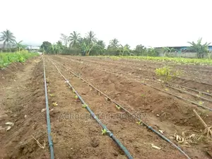 Drip Tape Irrigation
