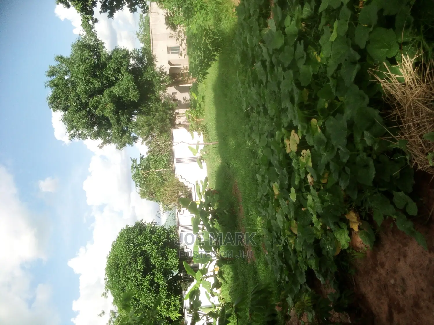 5bdrm House in Mark Real Estate, Kihonda for sale