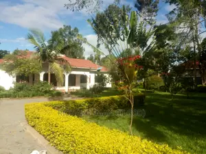 4bdrm Bungalow in Arusha for rent