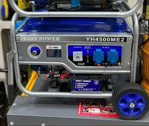 House Generator Watts 3000 Key to Start