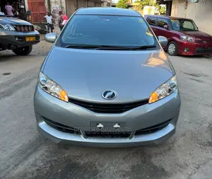 Toyota Wish 2009 Silver