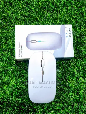 Rechargable Mouse