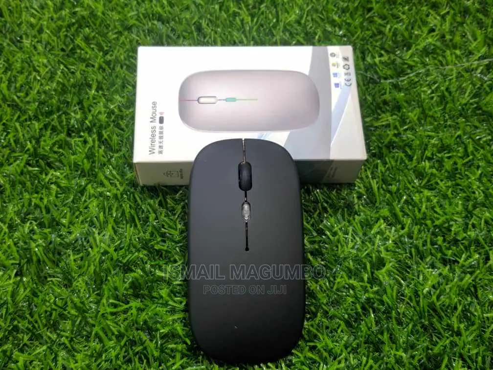 Rechargable Mouse