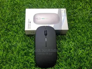 Rechargable Mouse