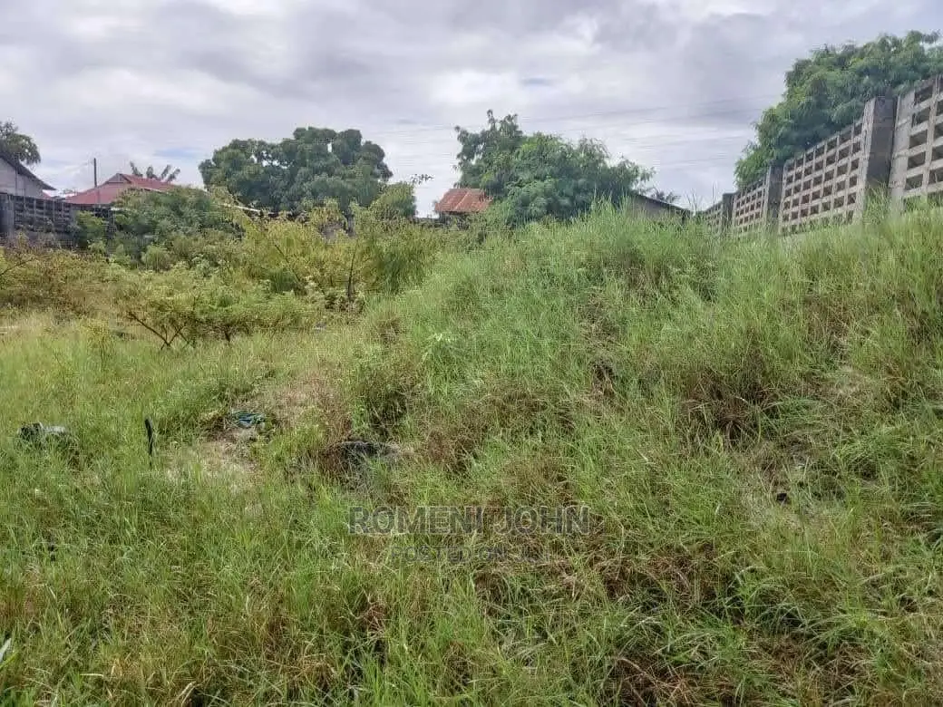 Eneo La Kibiashara Na Makazi Linauzwa Milioni 125 Tabata.