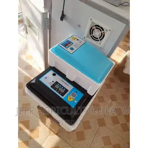 30 Eggs Incubator Machine Automatically