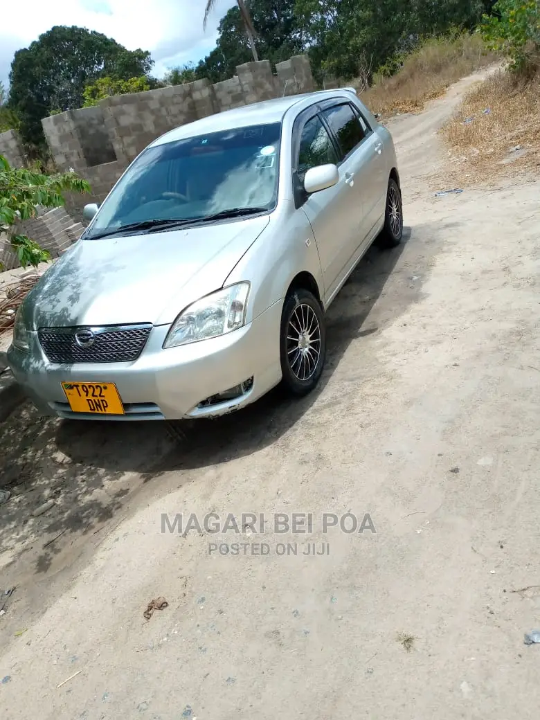Toyota Corolla RunX 2005 Silver