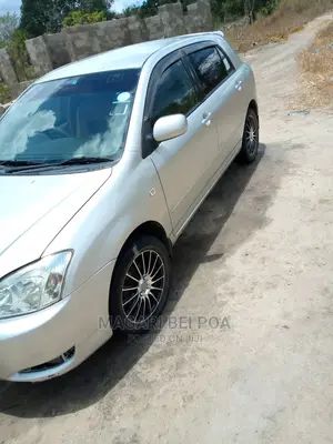 Toyota Corolla RunX 2005 Silver