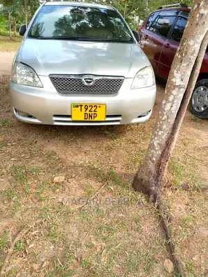 Toyota Corolla RunX 2005 Silver