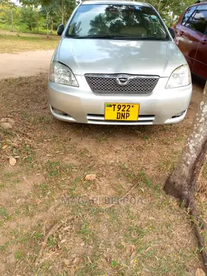 Toyota Corolla RunX 2005 Silver
