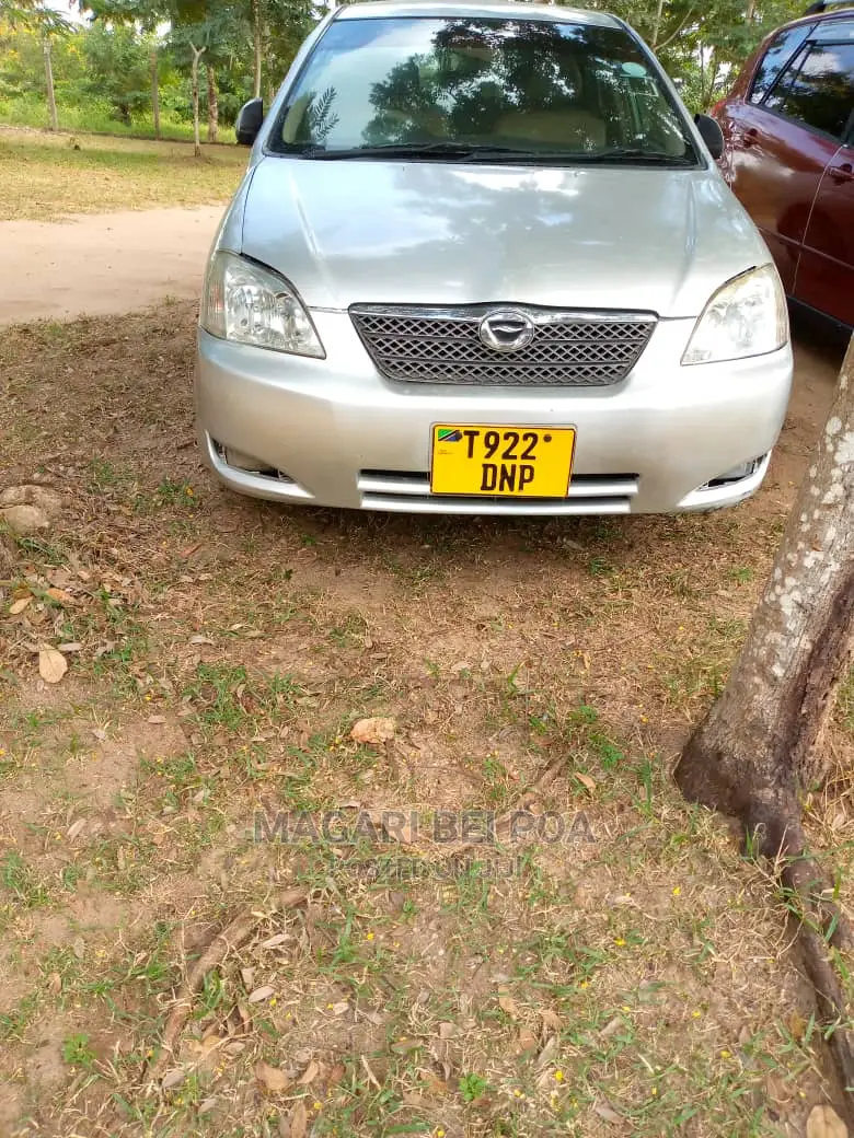 Toyota Corolla RunX 2005 Silver