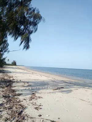 14 Acres of Beach Plot for Sale in Tanga, Near Saadani Park