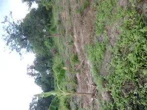 Plot for Sale at Msongola Mlandizi