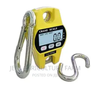 Digital Scale 300kg