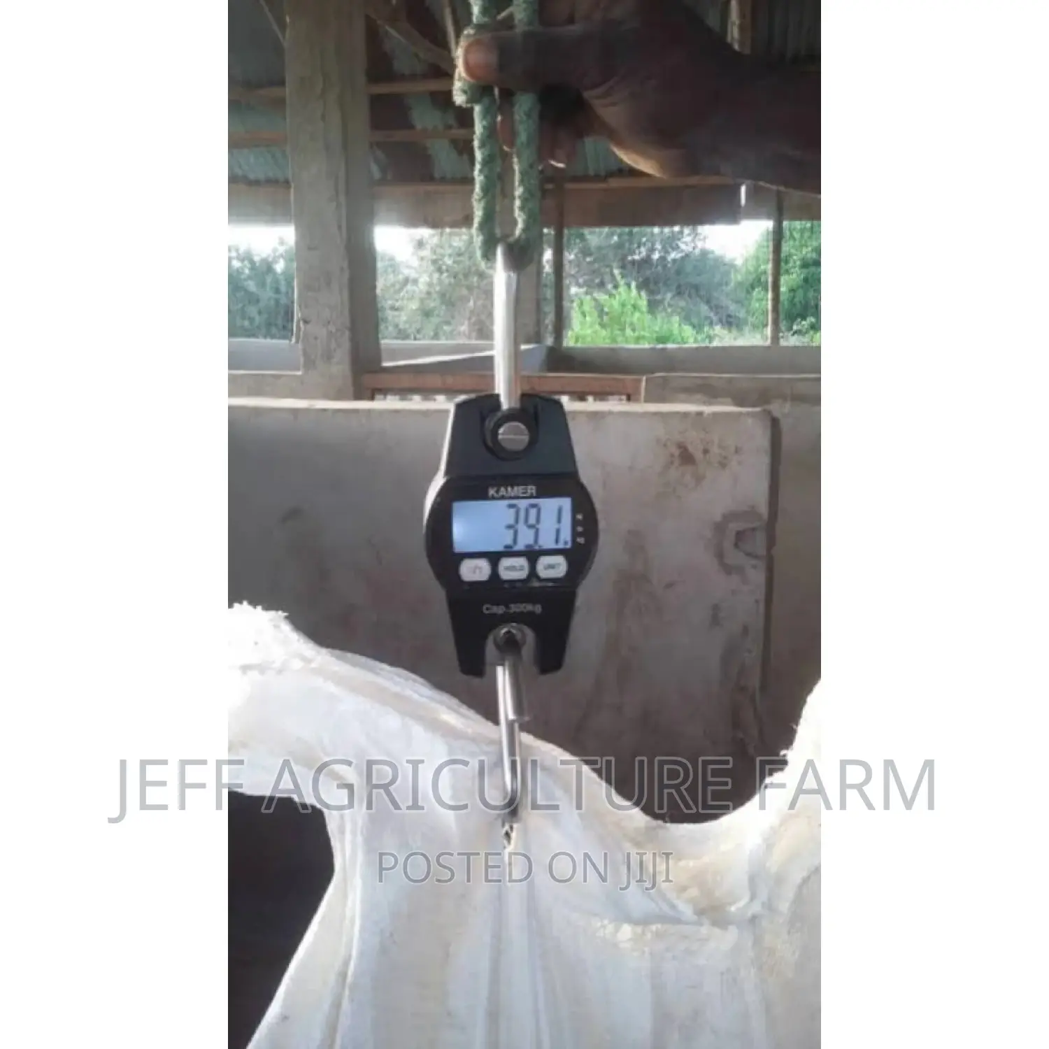 Digital Scale 300kg