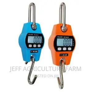 Digital Scale 300kg