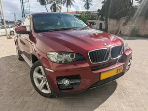 BMW X6 Sports Activity Coupe 2008 Burgundy