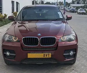 BMW X6 Sports Activity Coupe 2008 Burgundy