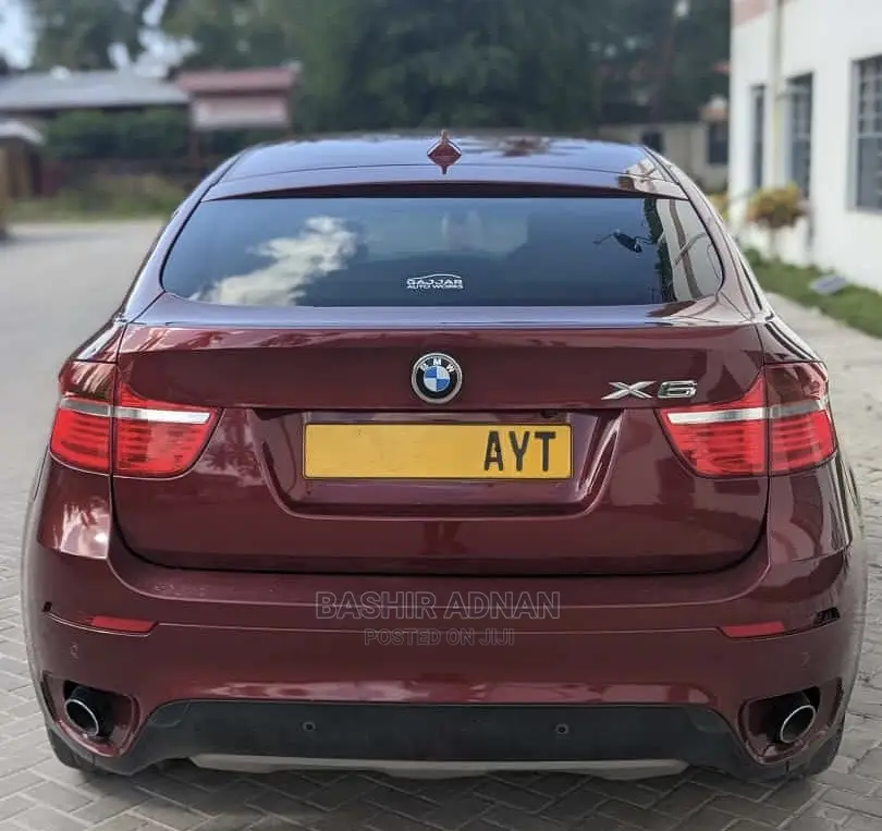 BMW X6 Sports Activity Coupe 2008 Burgundy