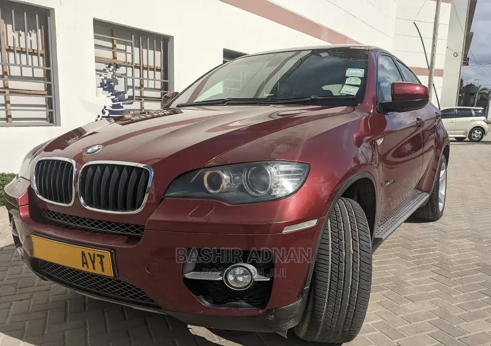BMW X6 Sports Activity Coupe 2008 Burgundy