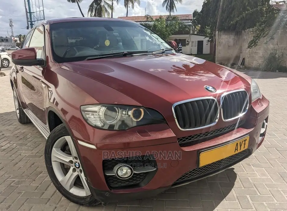 BMW X6 Sports Activity Coupe 2008 Burgundy