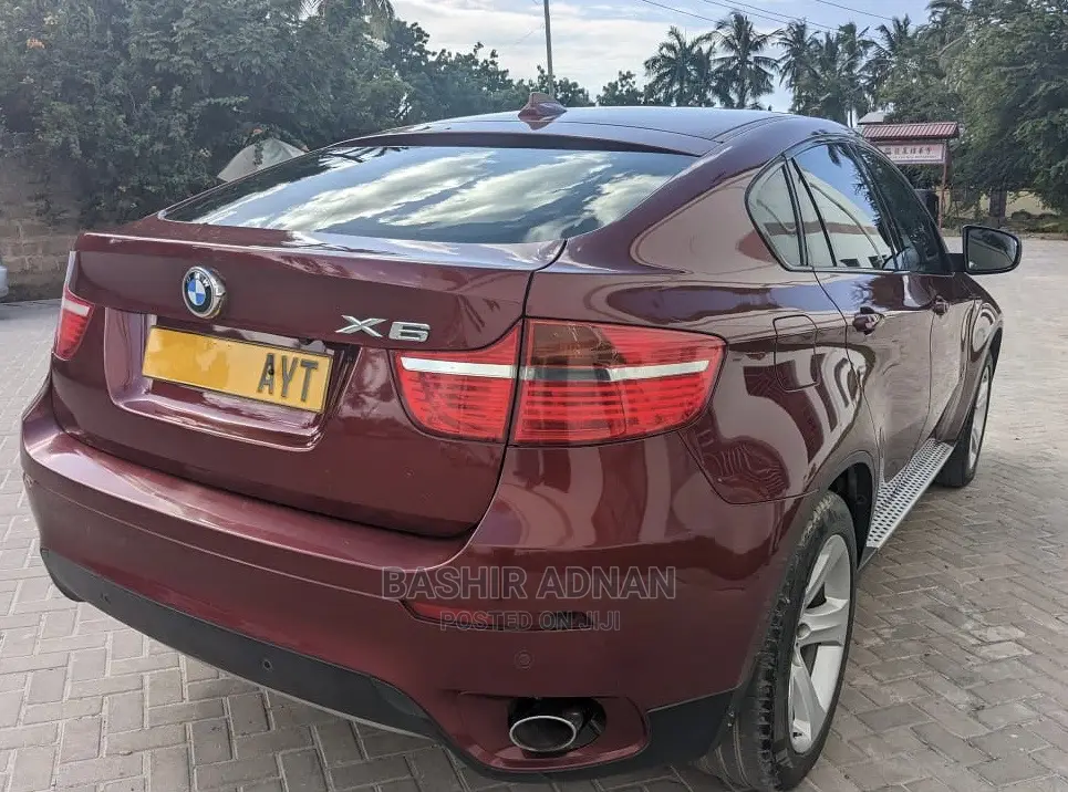 BMW X6 Sports Activity Coupe 2008 Burgundy