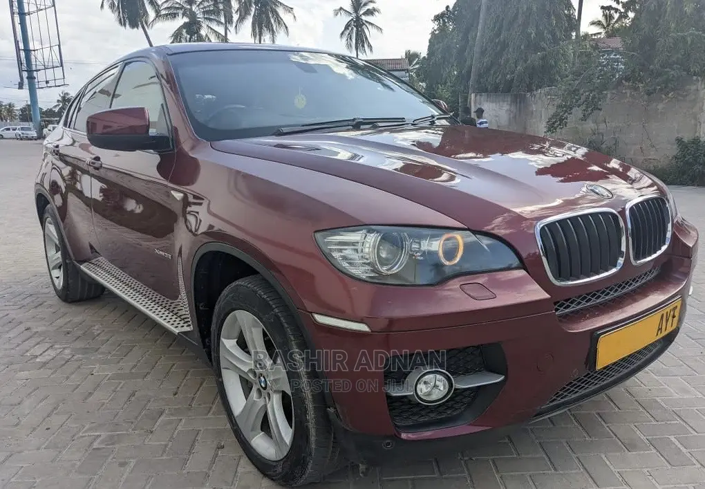 BMW X6 Sports Activity Coupe 2008 Burgundy