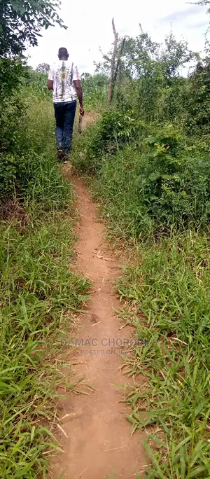 Shamba Kubwa Linauzwa