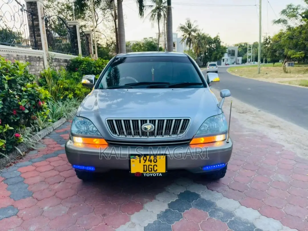 Toyota Harrier 2002 Gray