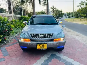 Toyota Harrier 2002 Gray