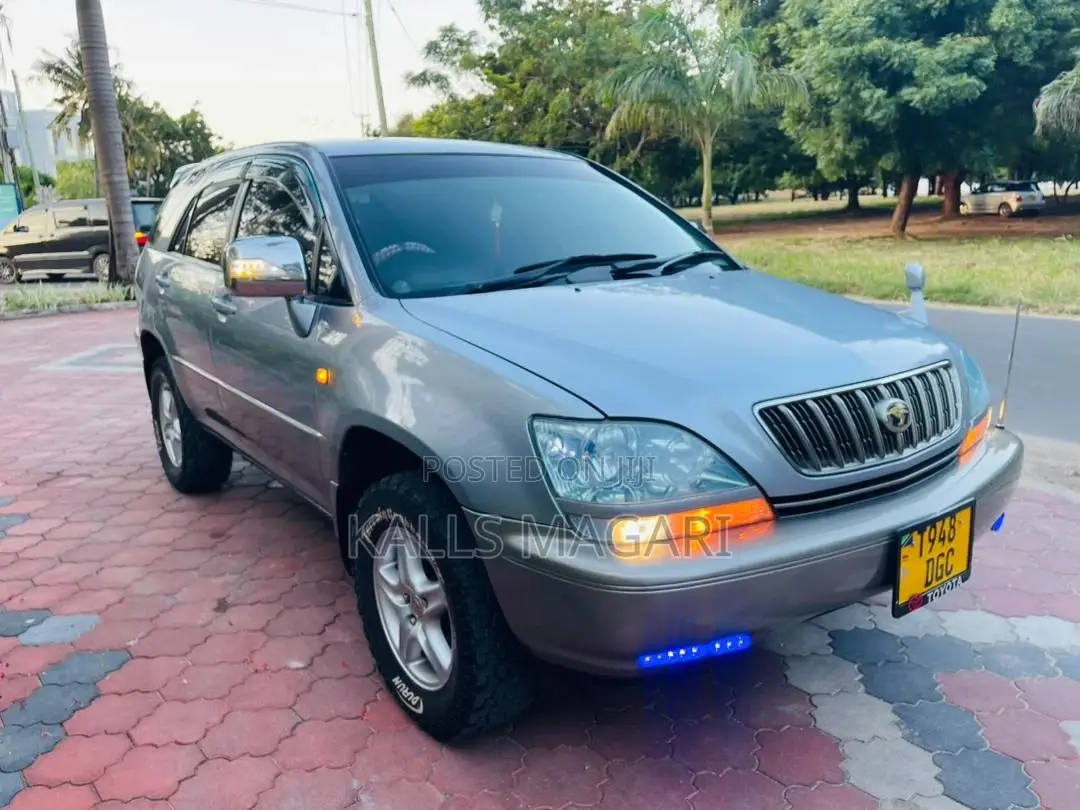 Toyota Harrier 2002 Gray