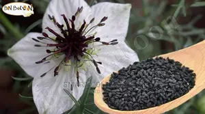 Organic Black Seeds 1kg Bulk
