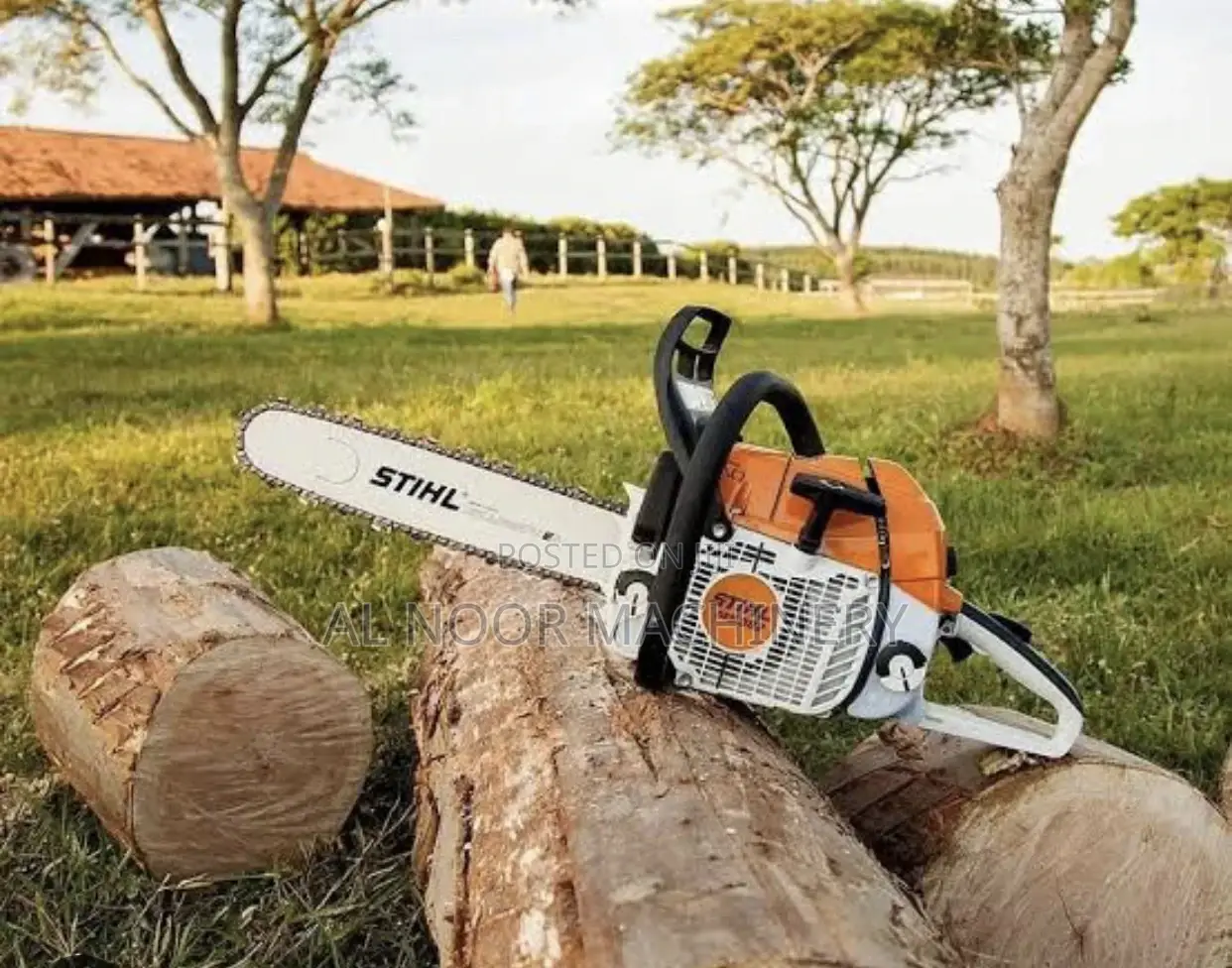 Still Chain Saw