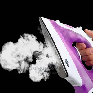 Steam Iron