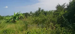 Shamba Ekari 2 La Kulima Nanasi Linauzwa Kiwangwa Msinune