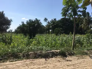 Industrial Land for Sale in Dar ES Salaam, Mwandege.