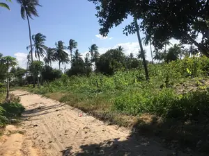 Industrial Land for Sale in Dar ES Salaam, Mwandege.