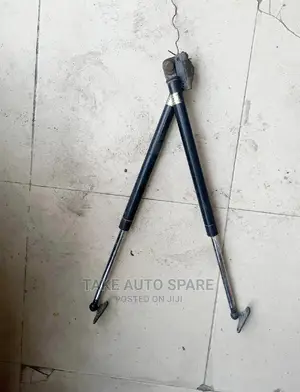 Toyota Harrier Old Model Boot Shockup