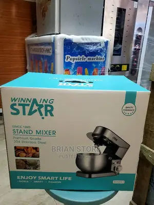 Winning Star Hand Mixer