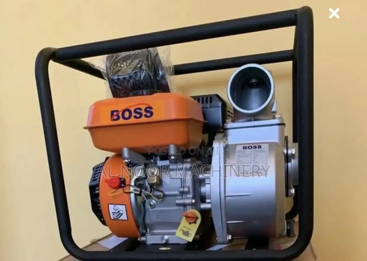 Boss NCH 2 Water Pump