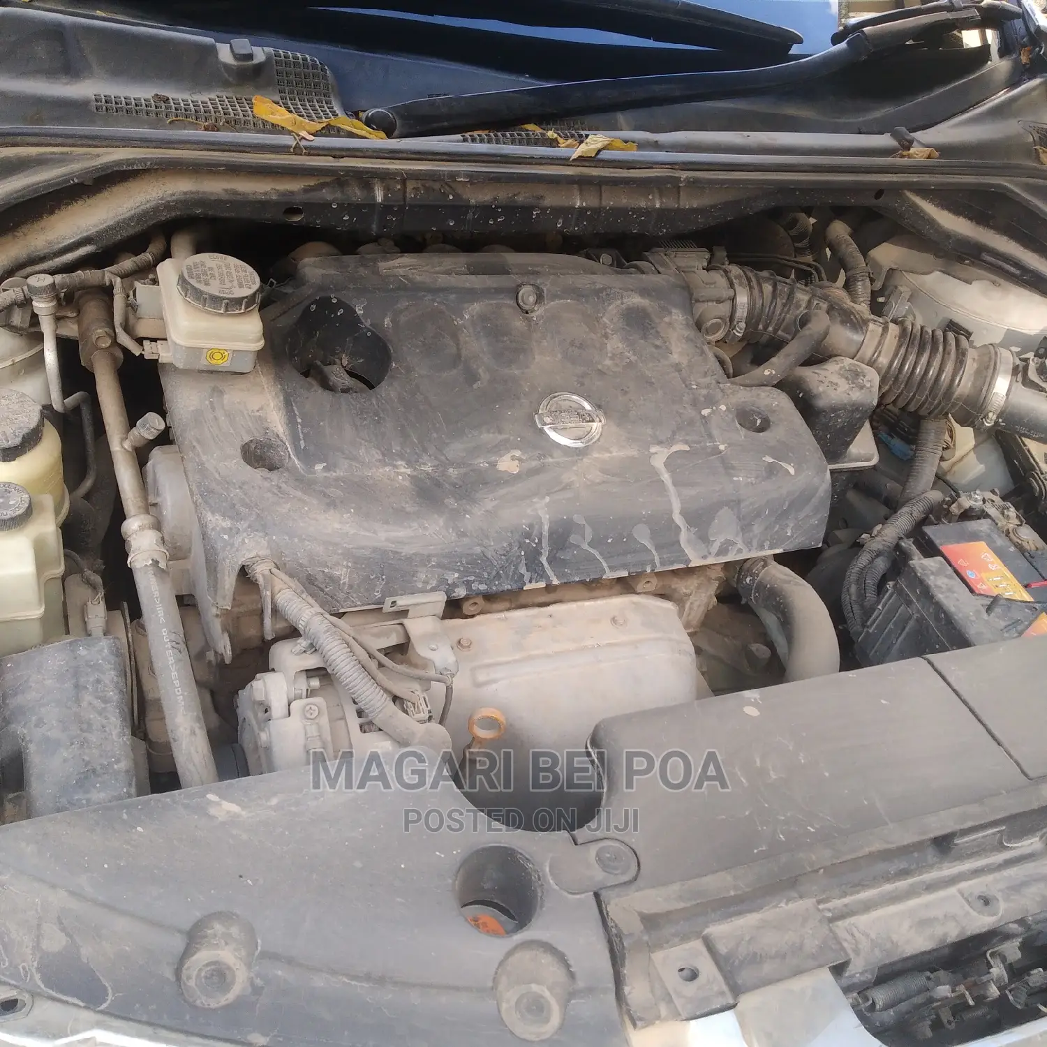 Nissan Murano 2009 White