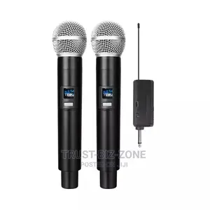 Professional Wireless Microphone