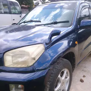 Toyota RAV4 2007 Blue