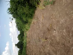 Eneo Linauzwa Kibaha.