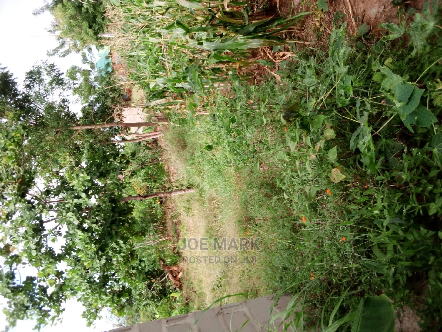 A Plot for Sale Kibaha Kwa Mathias